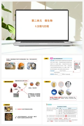 2.6.发霉与防霉（含练习）课件 (共11张PPT) 青岛版（六三制2022） 小学科学六年级上册