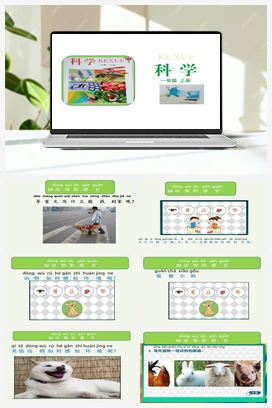 10 动物的感官 课件 冀人版小学科学一年级上册