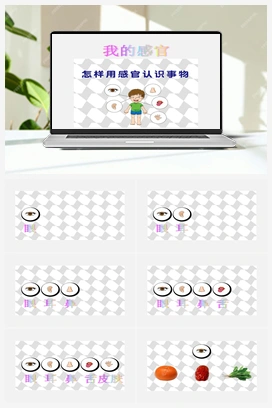 2我的感官 课件 冀人版小学科学一年级上册