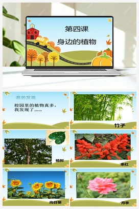 4身边的植物课件 冀人版小学科学一年级上册