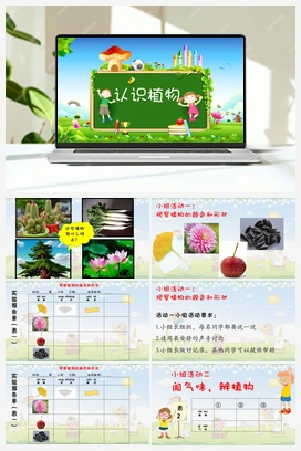 5认识植物 课件 冀人版小学科学一年级上册