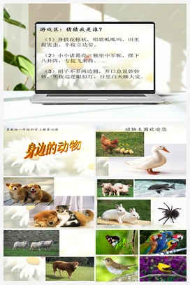 7 身边的动物课件 冀人版小学科学一年级上册