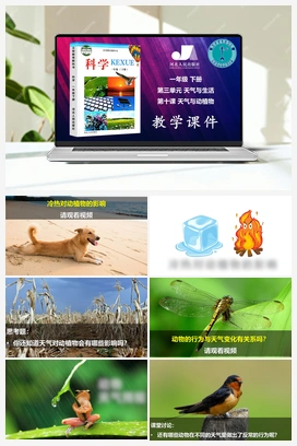 10：天气与动植物（课件、2视频） 冀人版小学科学一年级下册