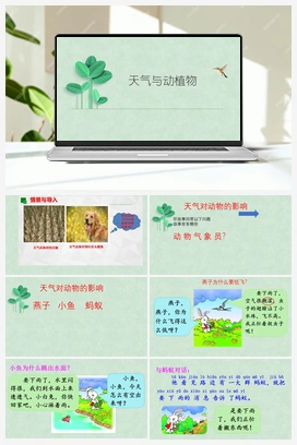 10： 天气与动植物 课件+教案 冀人版小学科学一年级下册