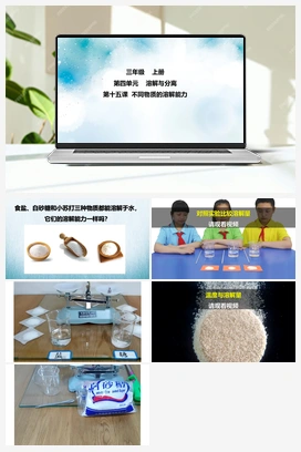 第14课 不同物质的溶解能力 课件+2个视频 冀人版小学科学三年级上册