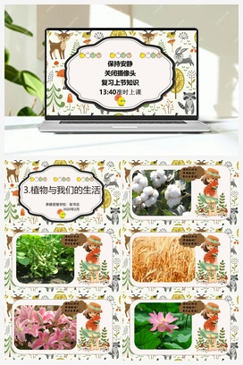 03：植物与我们的生活 冀教版 冀人版小学科学三年级下册