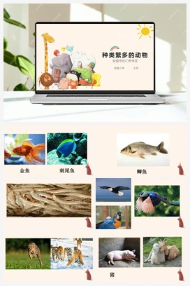 04：种类繁多的动物 冀教版 冀人版小学科学三年级下册