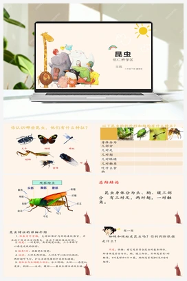 05： 昆虫 冀人版小学科学三年级下册