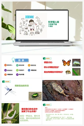 05：昆虫 课件 冀人版小学科学三年级下册