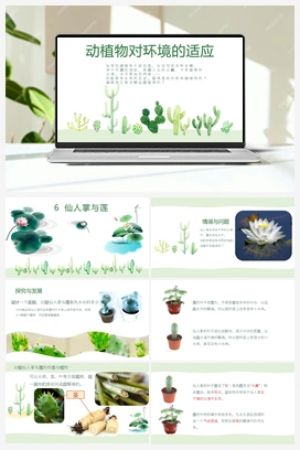 06：仙人掌与莲 冀教 冀人版小学科学三年级下册