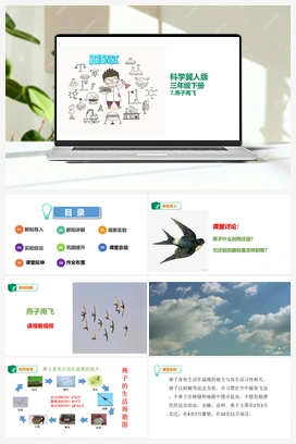 07：燕子南飞 课件 冀人版小学科学三年级下册