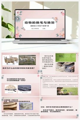 08：动物的换毛与换羽 冀教版 冀人版小学科学三年级下册