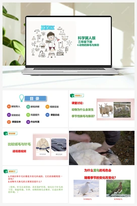 08：动物的换毛与换羽 课件 冀人版小学科学三年级下册