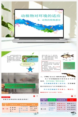 09：动物的特殊感官 冀人版小学科学三年级下册