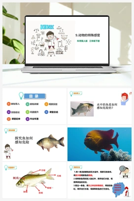 09：动物的特殊感官 课件 冀人版小学科学三年级下册