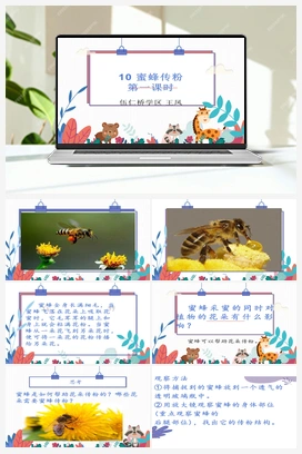 10：蜜蜂传粉 课件 冀人版小学科学三年级下册