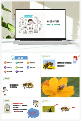 10：蜜蜂传粉 课件+视频 冀人版小学科学三年级下册