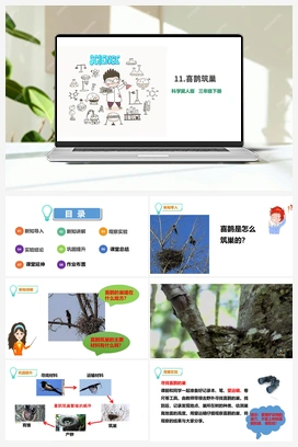 11：喜鹊筑巢 课件 冀人版小学科学三年级下册