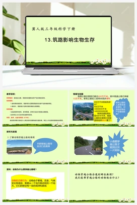 13：《筑路影响生物生存》 冀人版小学科学三年级下册