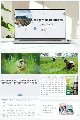 12：杀虫剂对生物的影响 冀教版 冀人版小学科学三年级下册