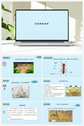 7 寻找蚂蚁的家-(课件) 冀人版小学科学二年级下册