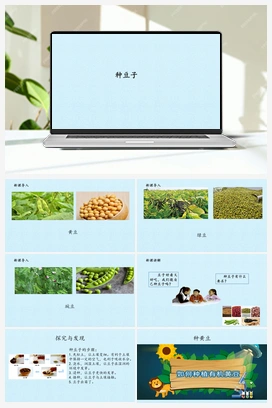 9 种豆子 -(课件) 冀人版小学科学二年级下册