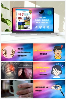 第2单元第5课-刺激与反应 课件+视频素材 冀人版小学科学五年级上册