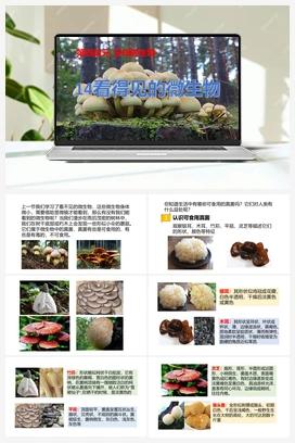 14：《看得见的微生物》课件 冀人版小学科学五年级下册