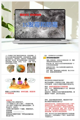 15：《发霉和防霉》课件 冀人版小学科学五年级下册