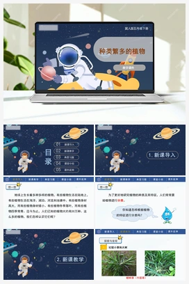 4.11 种类繁多的植物 课件 冀人版小学科学五年级下册