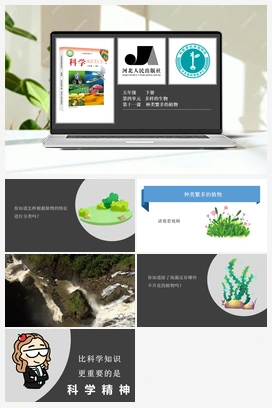 第4单元第11课-种类繁多的植物 课件 冀人版小学科学五年级下册