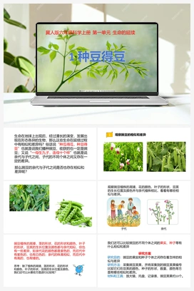 第01课《种豆得豆》课件+教案 冀人版小学科学六年级上册