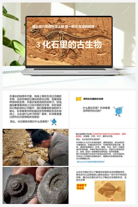 第03课《化石里的古生物》课件+教案 冀人版小学科学六年级上册