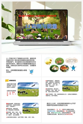 第13课《动物与能量》课件+教案 冀人版小学科学六年级上册