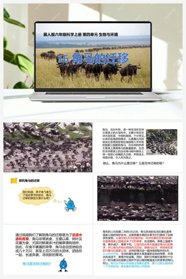 第16课《角马的迁移》课件+教案 冀人版小学科学六年级上册