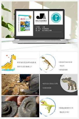 第1单元第3课-化石里的古生物 冀人版小学科学六年级上册