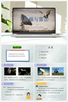 第7课 《蝙蝠与雷达》（课件+教案） 冀人版小学科学六年级下册