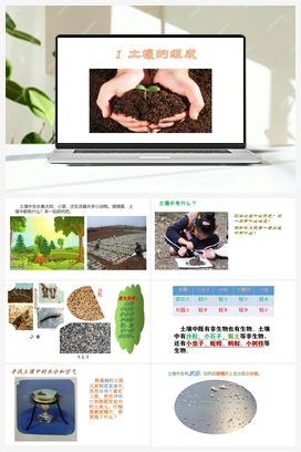 01：《土壤的组成》 课件 冀人版小学科学四年级下册