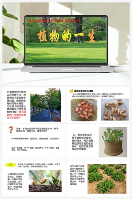 07：《植物的一生》 课件 冀人版小学科学四年级下册