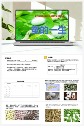09：《蚕的一生》 课件 冀人版小学科学四年级下册