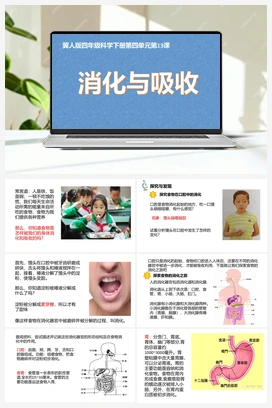 13：《消化与吸收》 课件 冀人版小学科学四年级下册