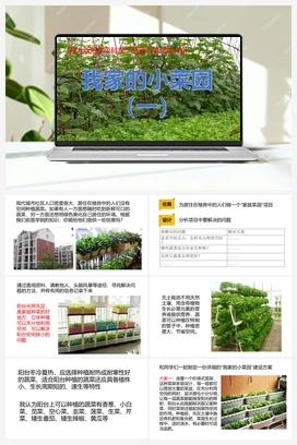 18：《我家的小菜园（一）》 课件 冀人版小学科学四年级下册