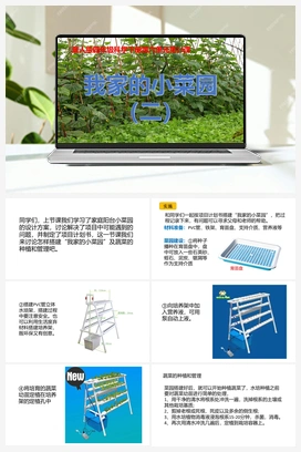 19：《我家的小菜园（二）》 课件 冀人版小学科学四年级下册