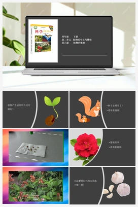 2.6 植物的繁殖 课件+2个视频 冀人版小学科学四年级下册