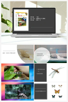 3.9 蚕的一生 课件 2个视频 冀人版小学科学四年级下册