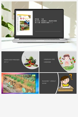 6.19 我家的小菜园（二） 课件+视频 冀人版小学科学四年级下册