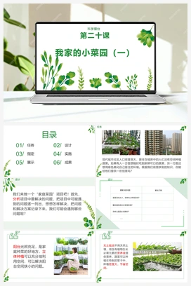第20课《我家的小菜园（一）》 冀人版小学科学四年级下册