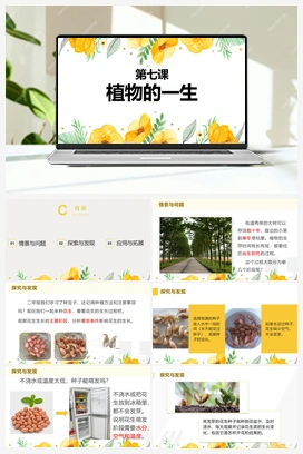 第七课 植物的一生（课件） 冀人版小学科学四年级下册