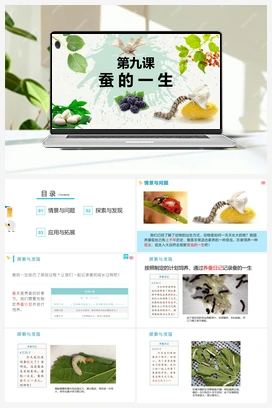第九课 蚕的一生（课件） 冀人版小学科学四年级下册