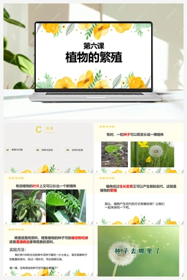 第六课 植物的繁殖（课件） 冀人版小学科学四年级下册
